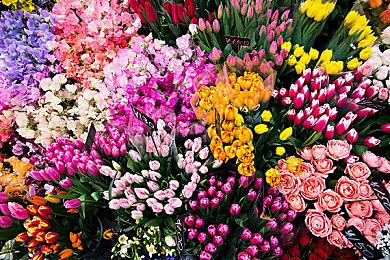 《战神4》跳过PS标志MOD大受欢迎 N站排名第二