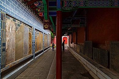 《恐龙小当家》试玩版 今日开启，聚焦玩家反馈实现多重焕新