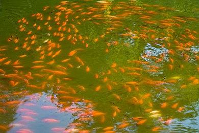 PGA TOUR 2K23现已在全球推出，为玩家带来 